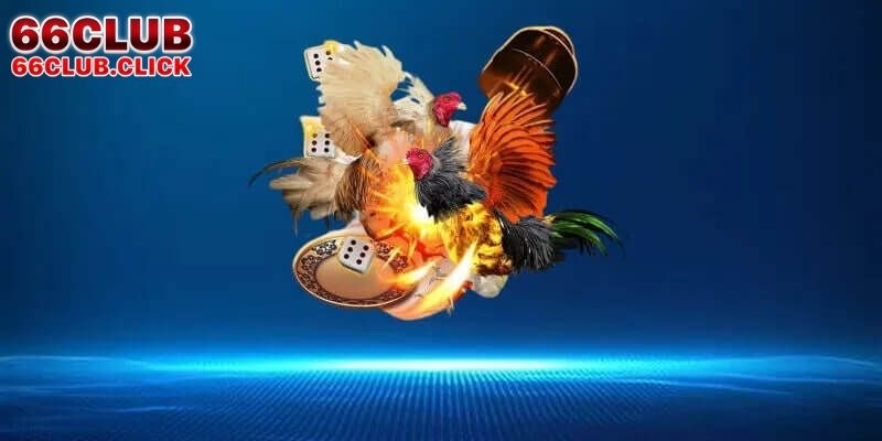 Odin GameCock 66Club